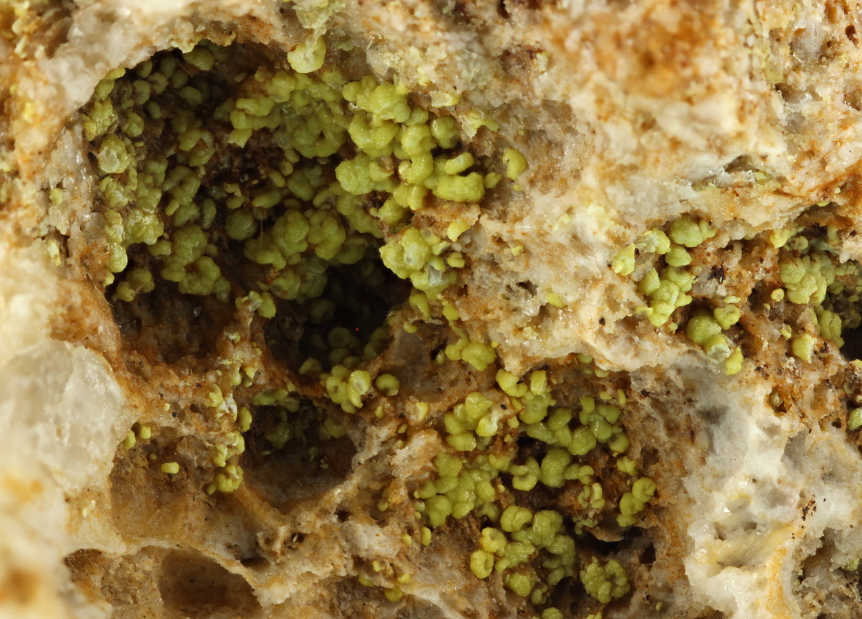 Pyromorphite