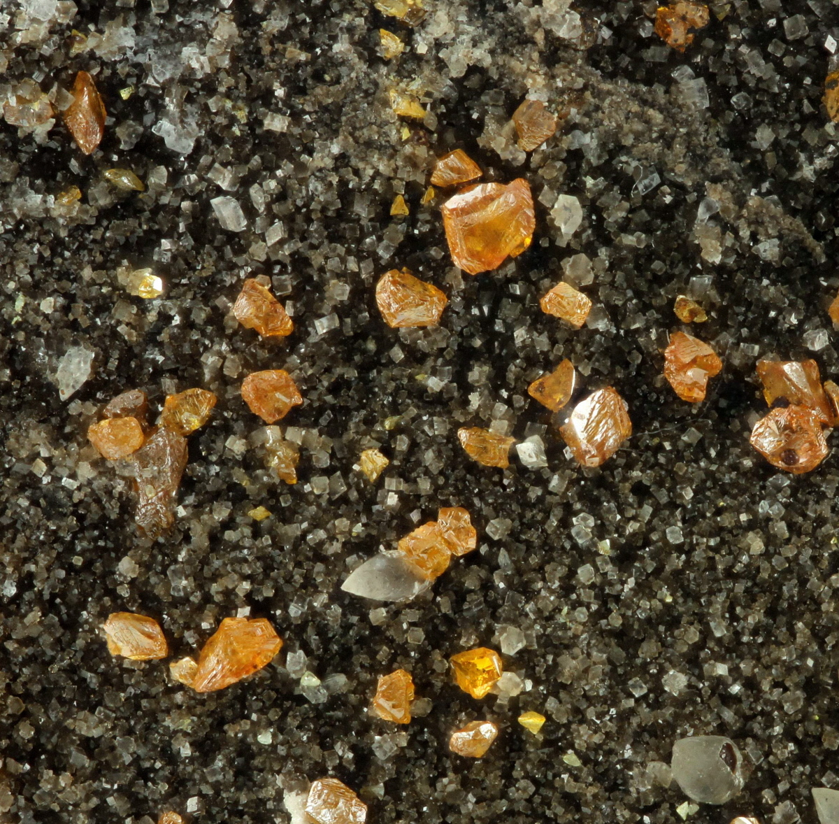 Calcite & Sphalerite