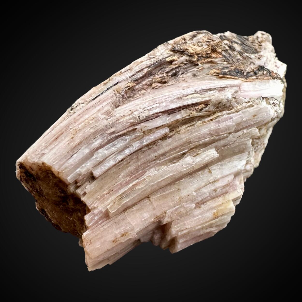 Sørensenite