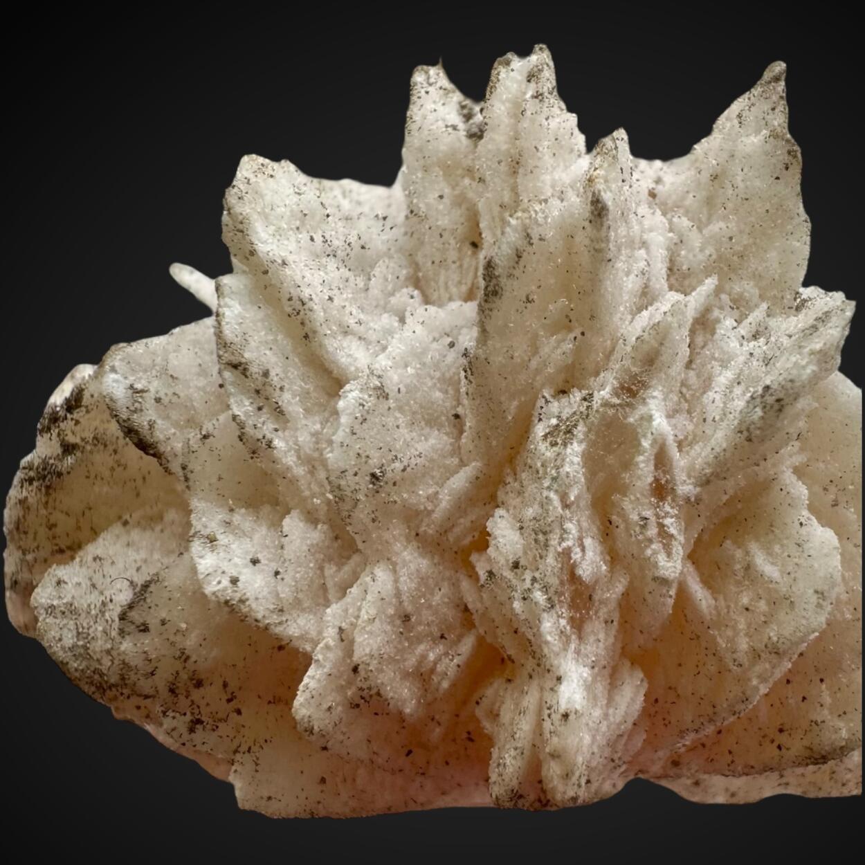 Barytocalcite & Baryte