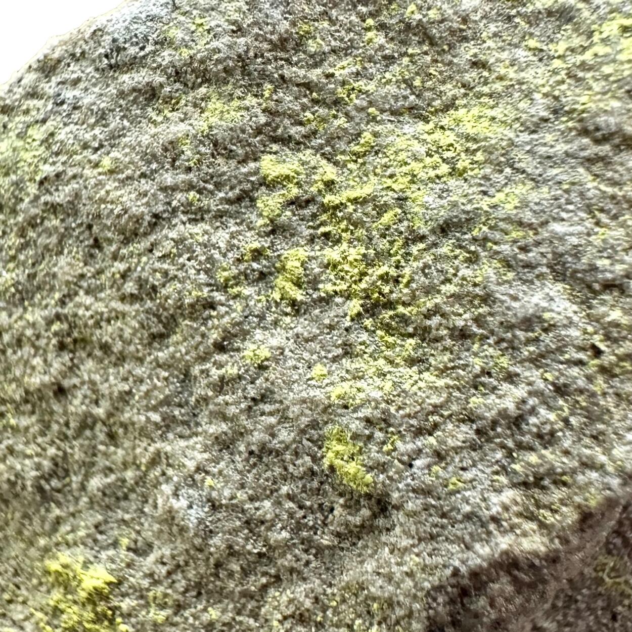 Boltwoodite