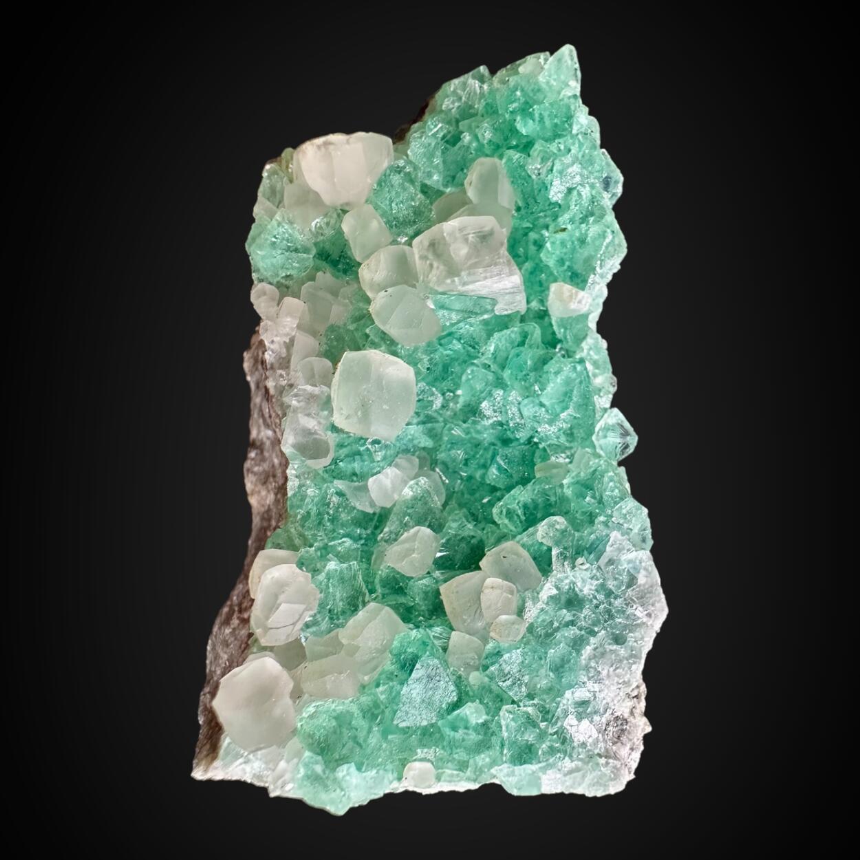 Fluorite & Calcite