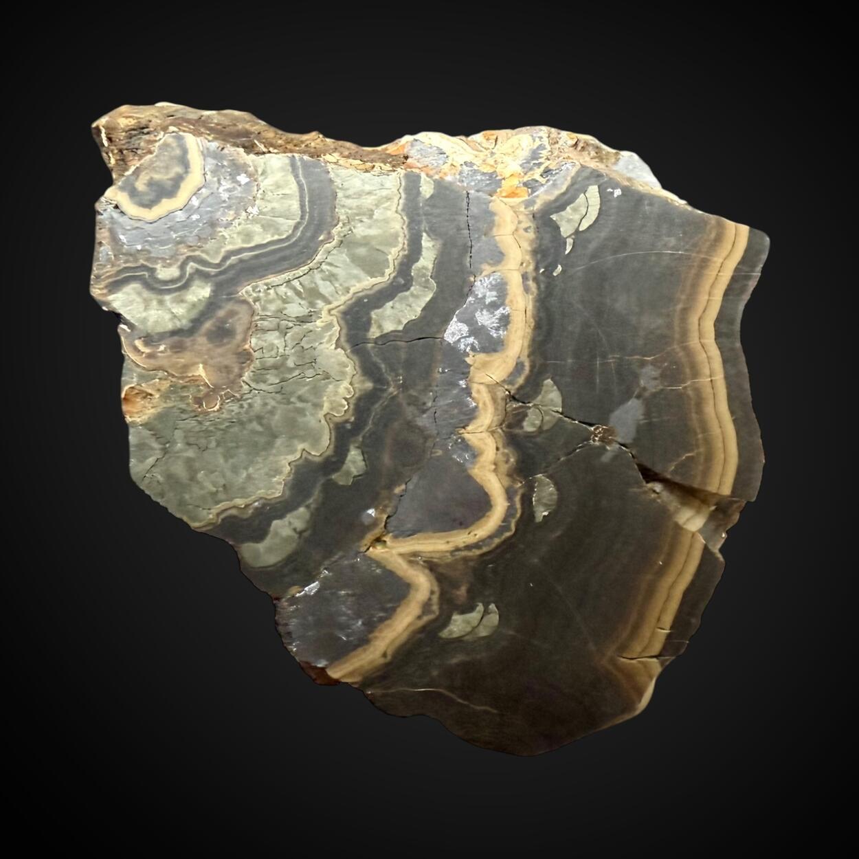 Schalenblende