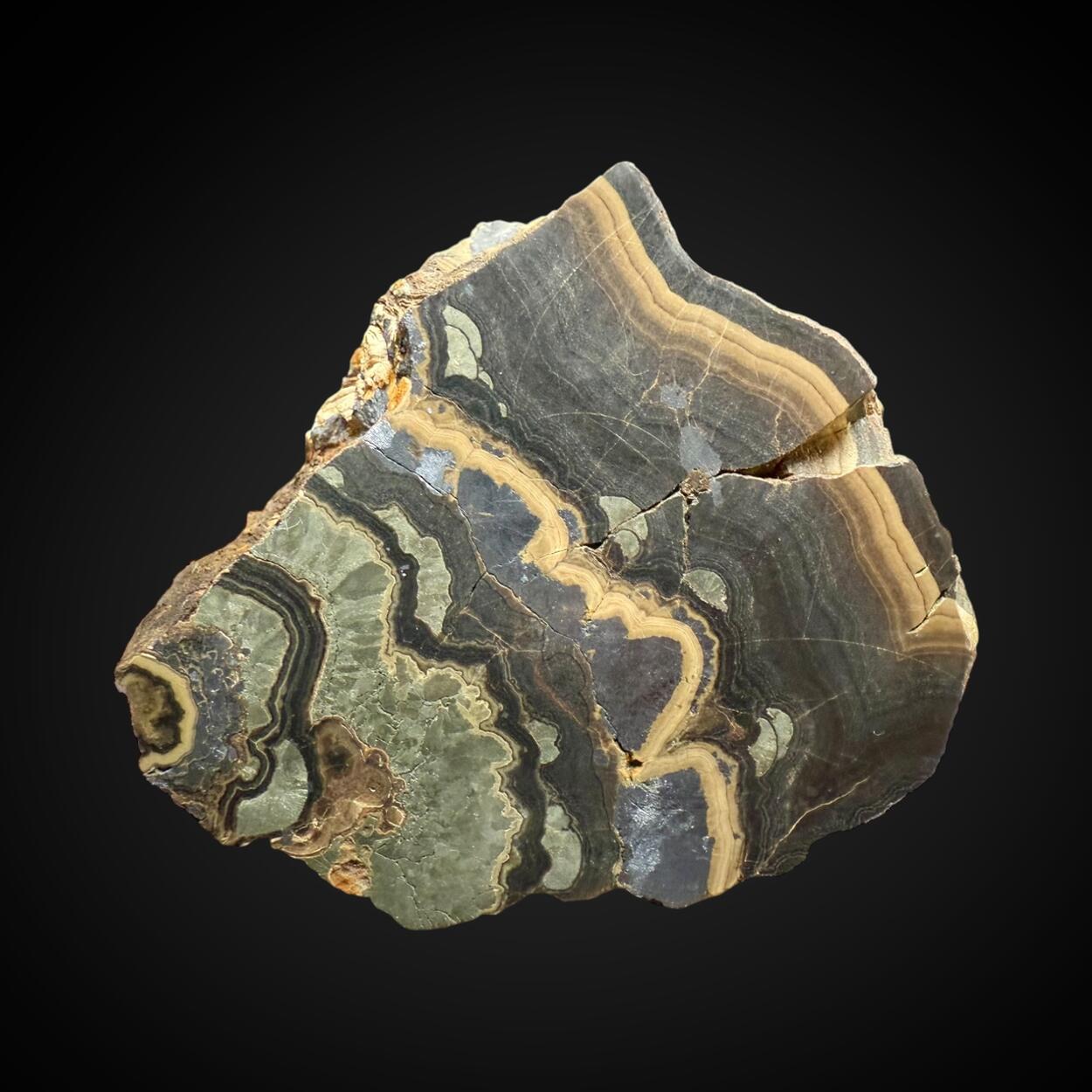 Schalenblende