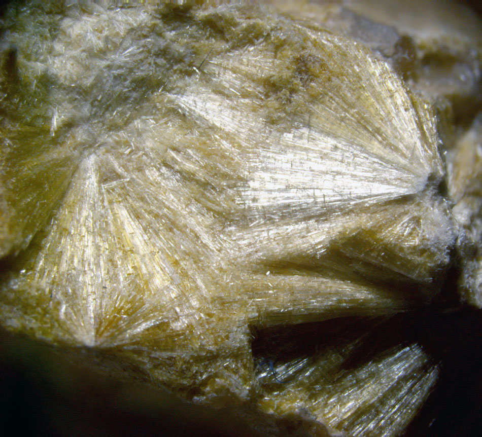 Carpholite