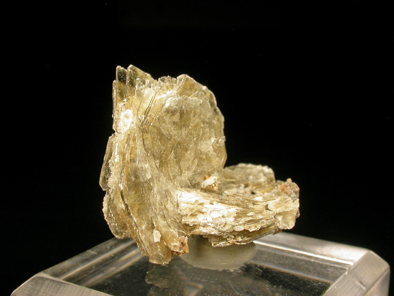 Polylithionite