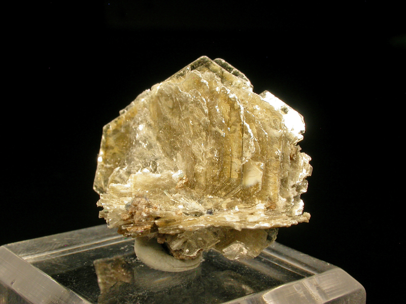 Polylithionite