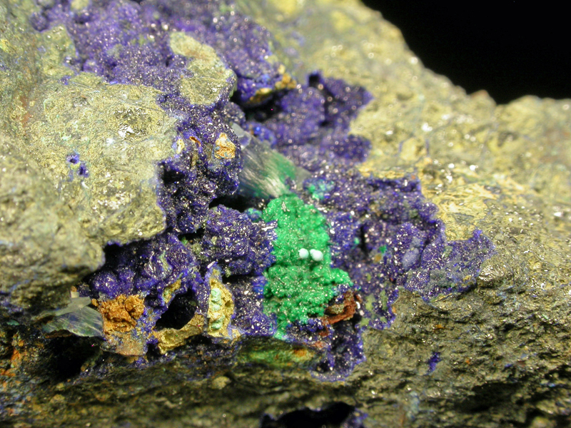 Azurite Conichalcite Lavendulan & Rosasite