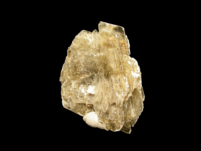 Polylithionite