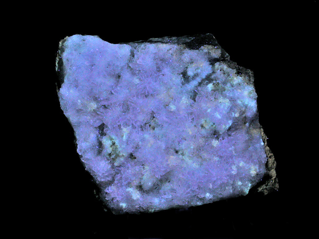 Creedite