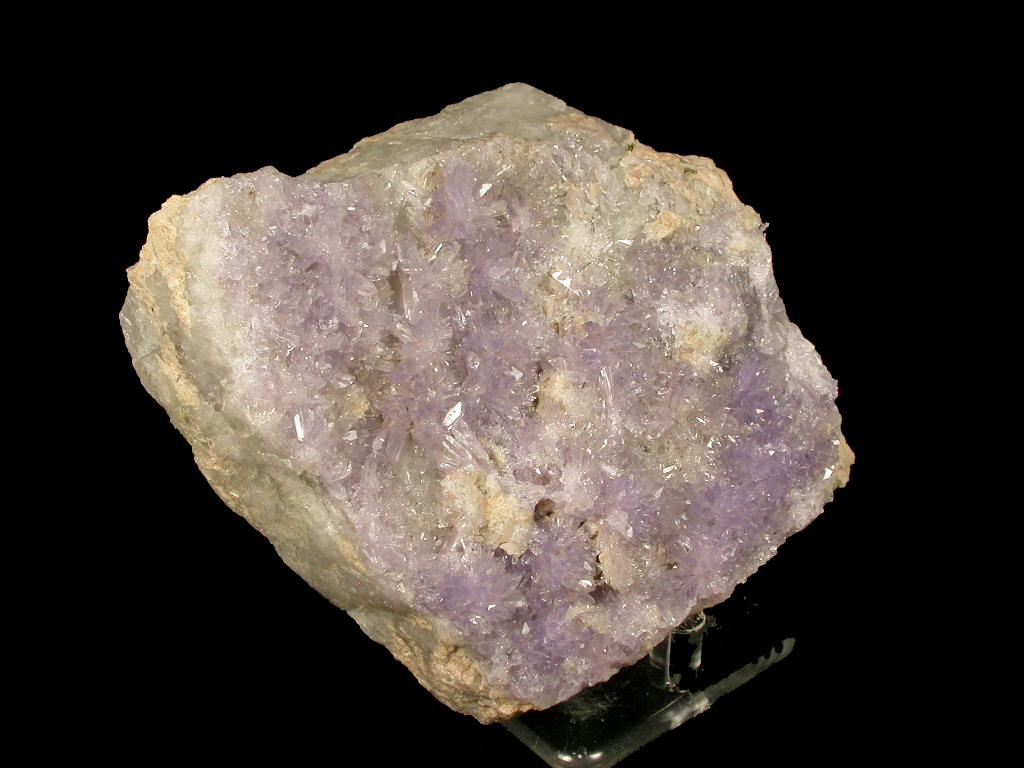 Creedite