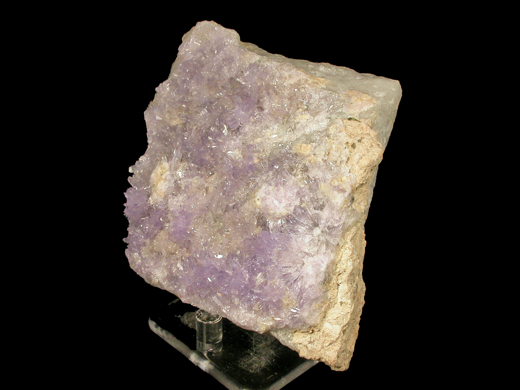 Creedite