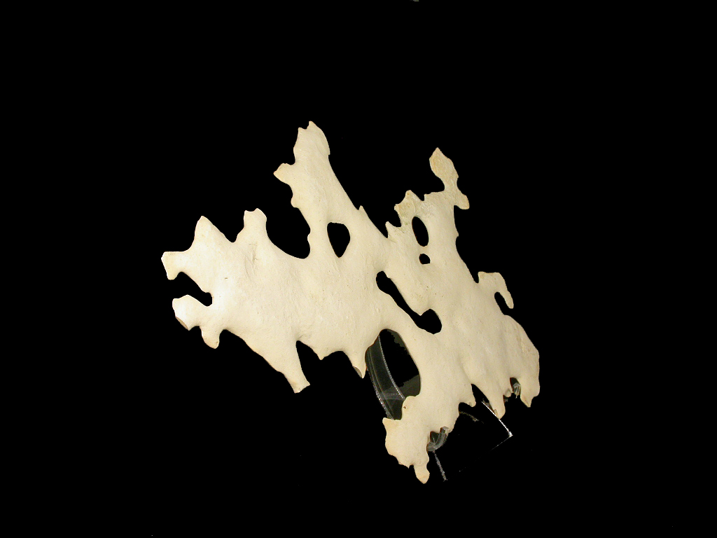 Concretion