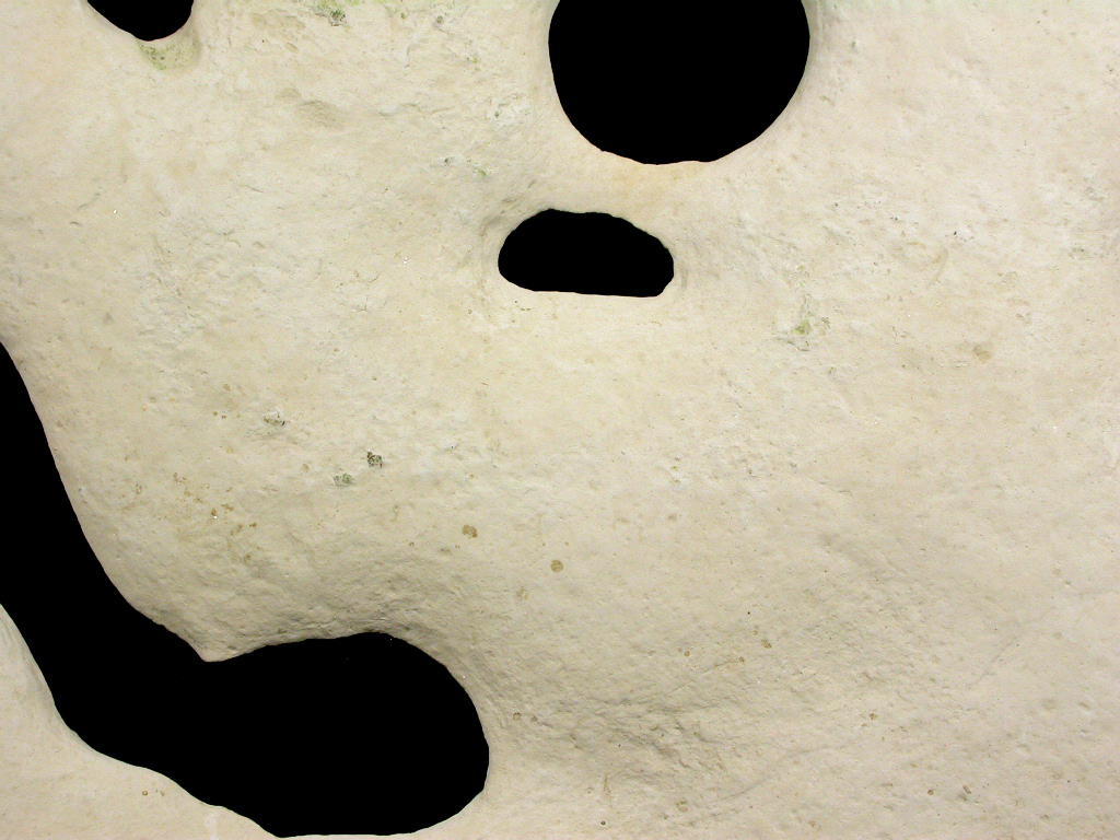 Concretion