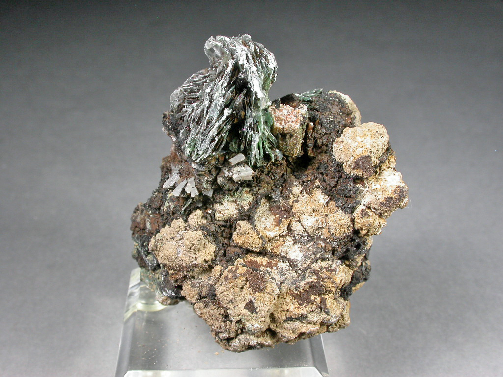 Eudidymite Polylithionite & Ferroceladonite