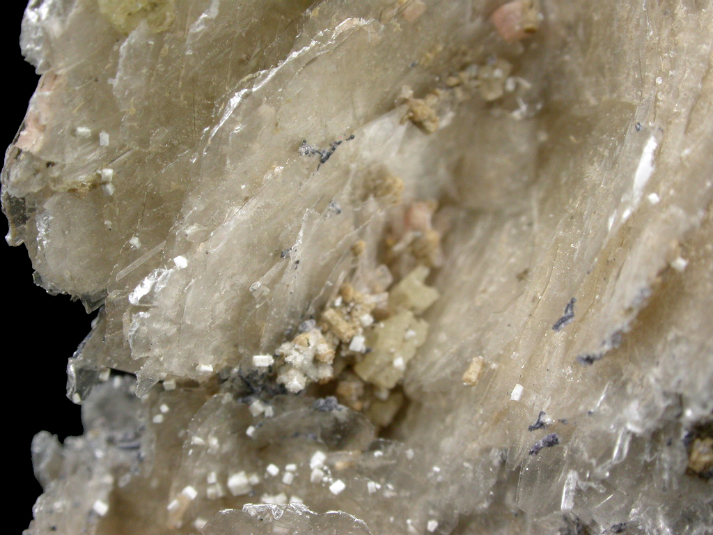 Polylithionite