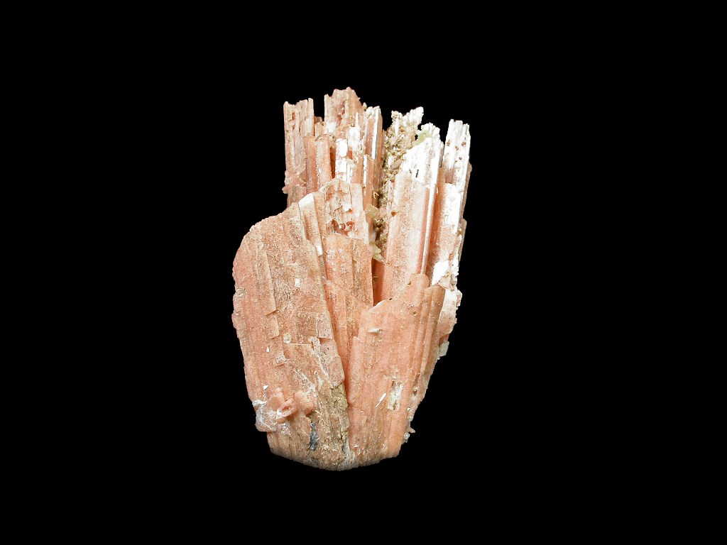 Schizolite