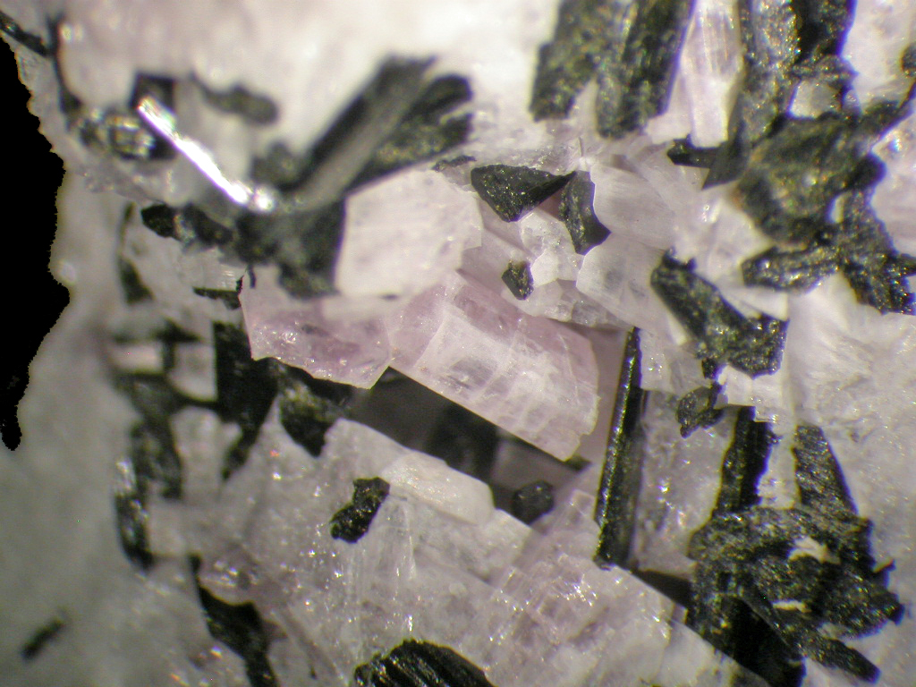 Lamprophyllite & Cancrisilite