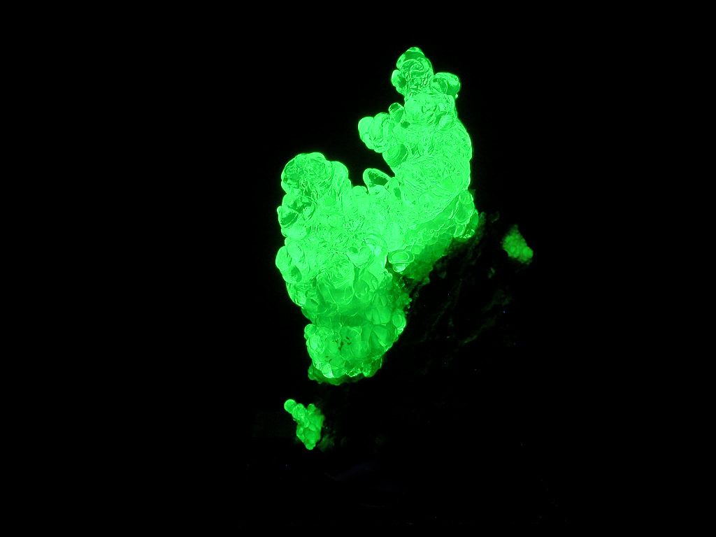 Opal