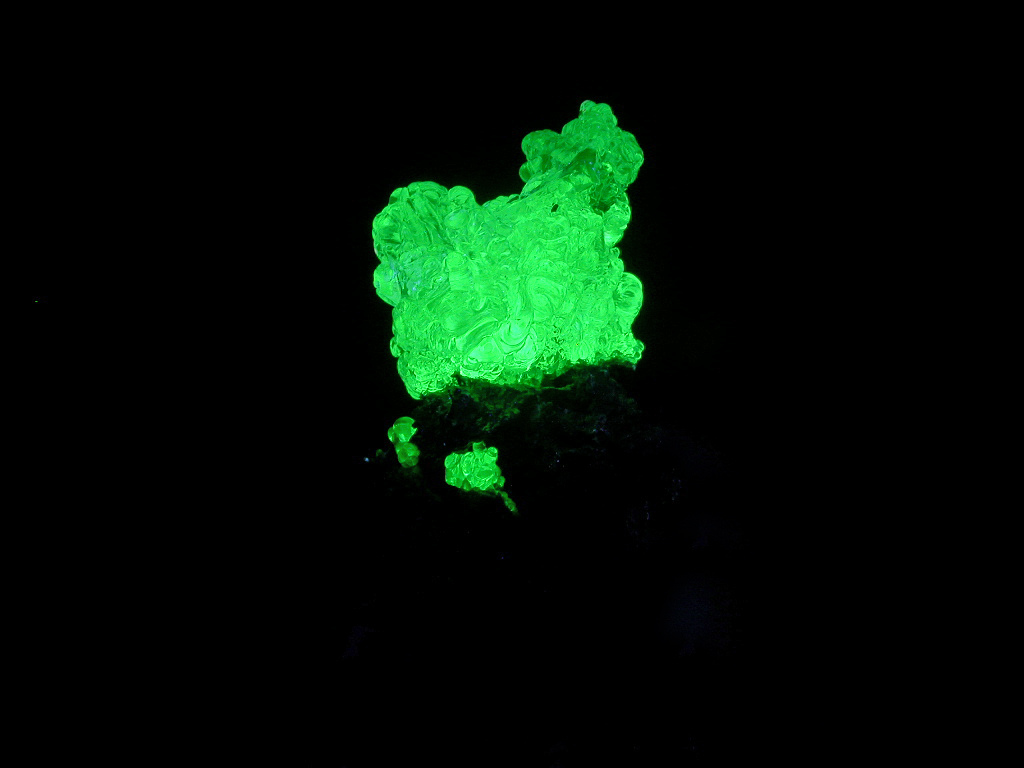 Opal