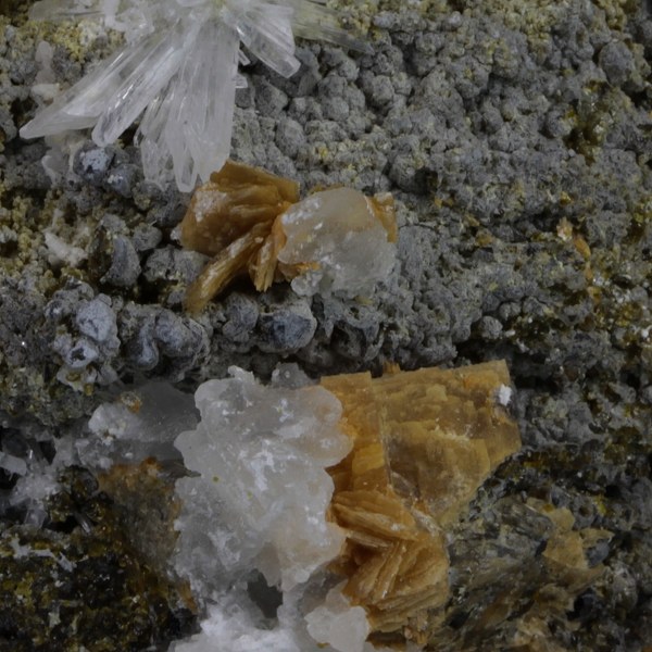 Olshanskyite Roweite Johnbaumite On Andradite