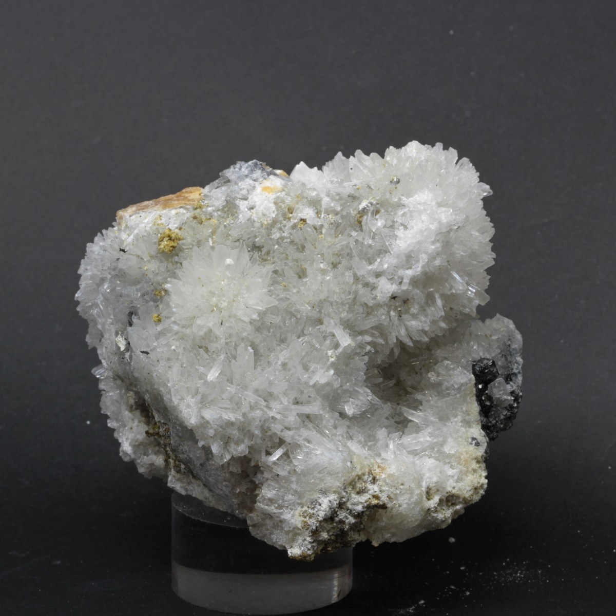 Olshanskyite With Roweite & Magnetite