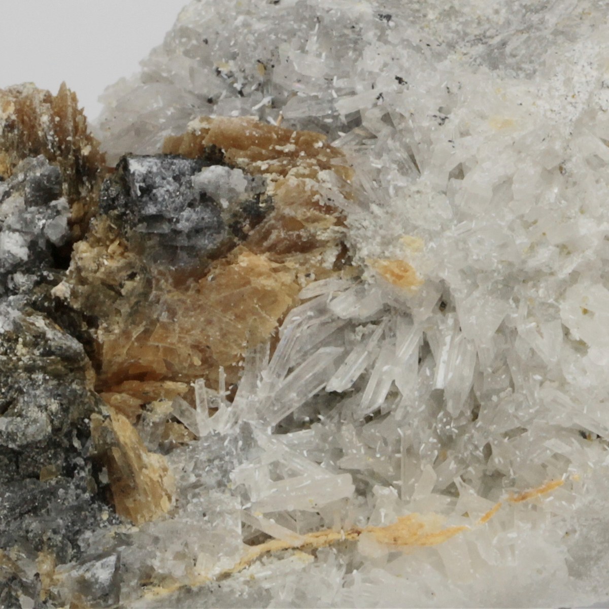 Olshanskyite On Roweite With Magnetite