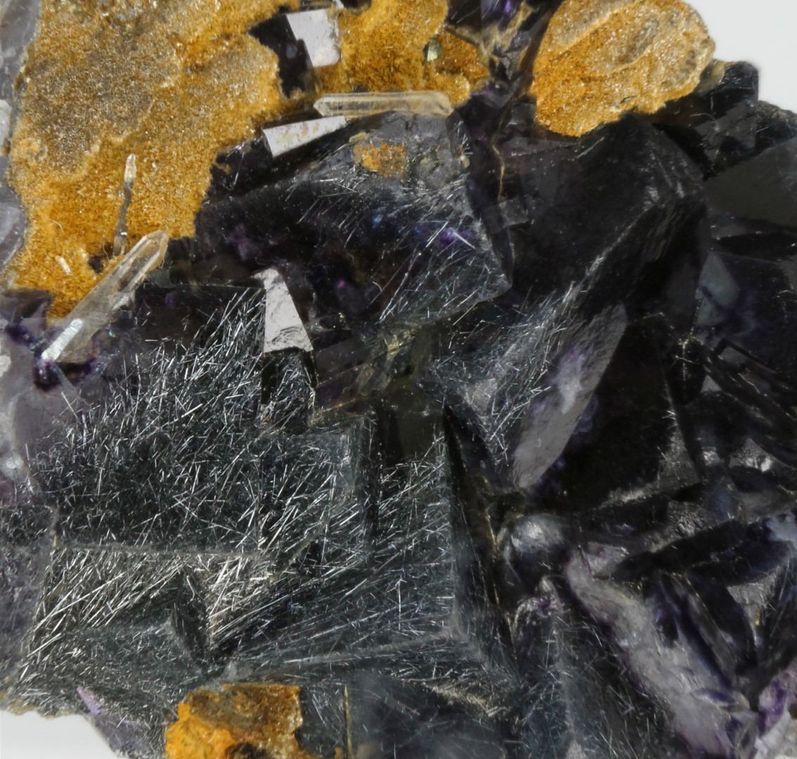 Boulangerite In Fluorite With Siderite