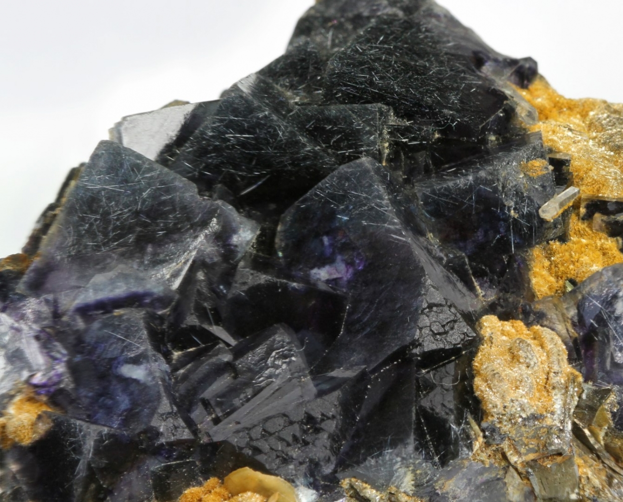 Boulangerite In Fluorite With Siderite