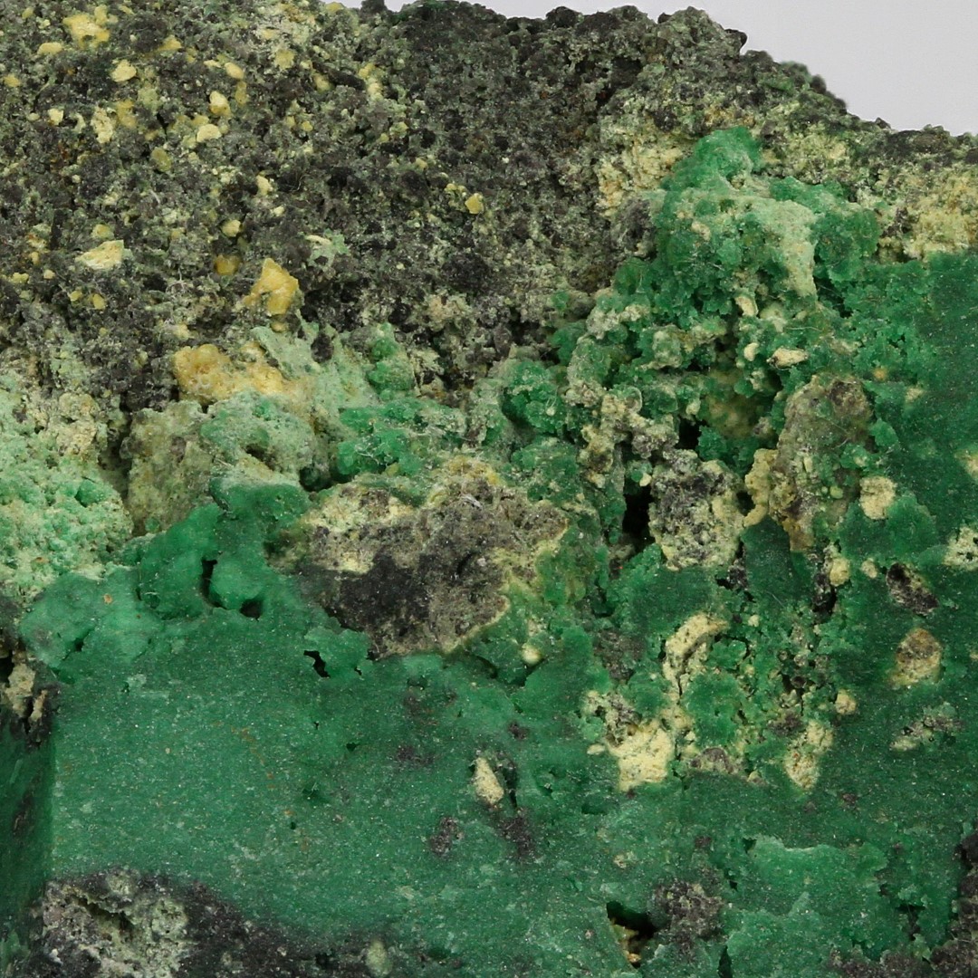 Variscite & Crandallite