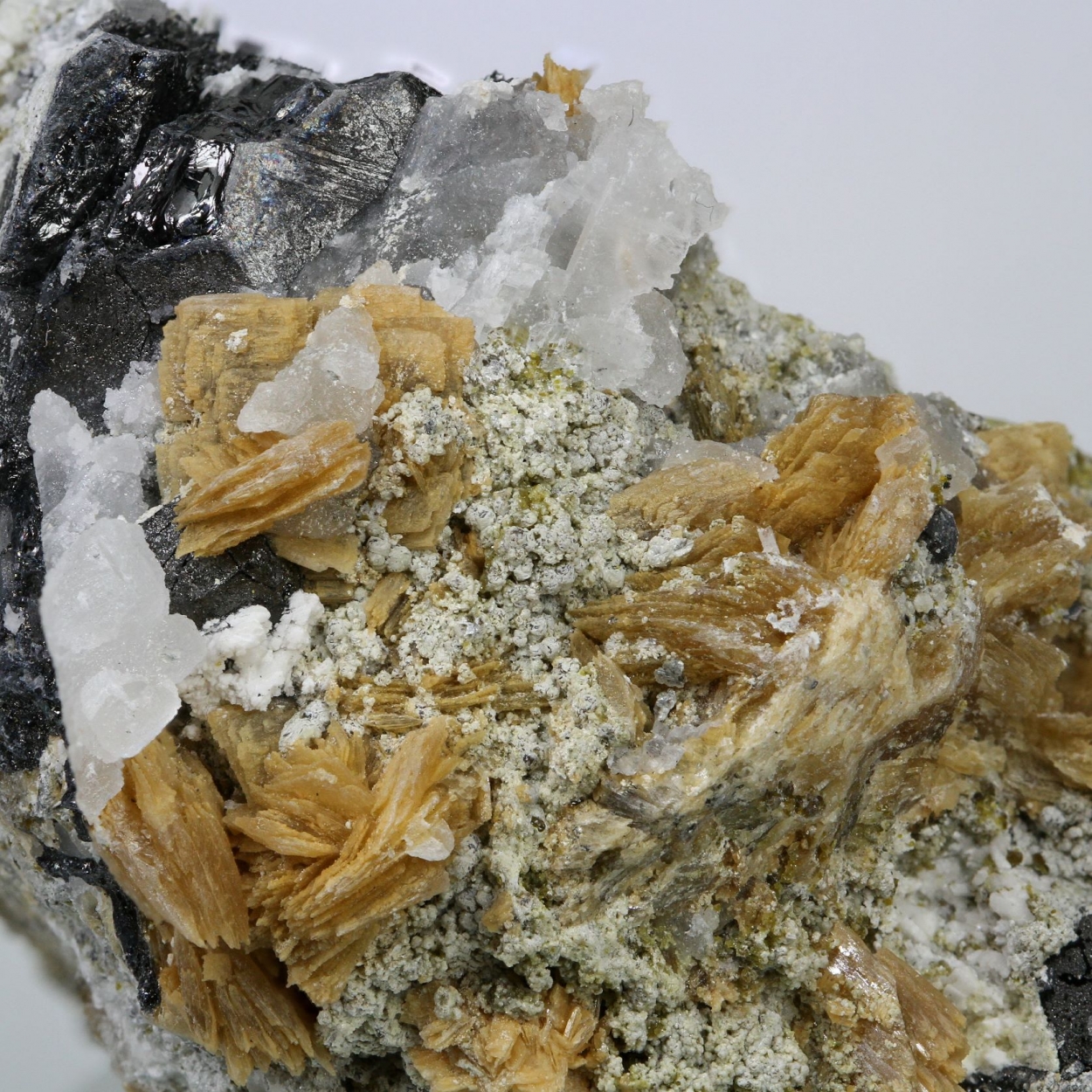 Cahnite Roweite Magnetite & Andradite