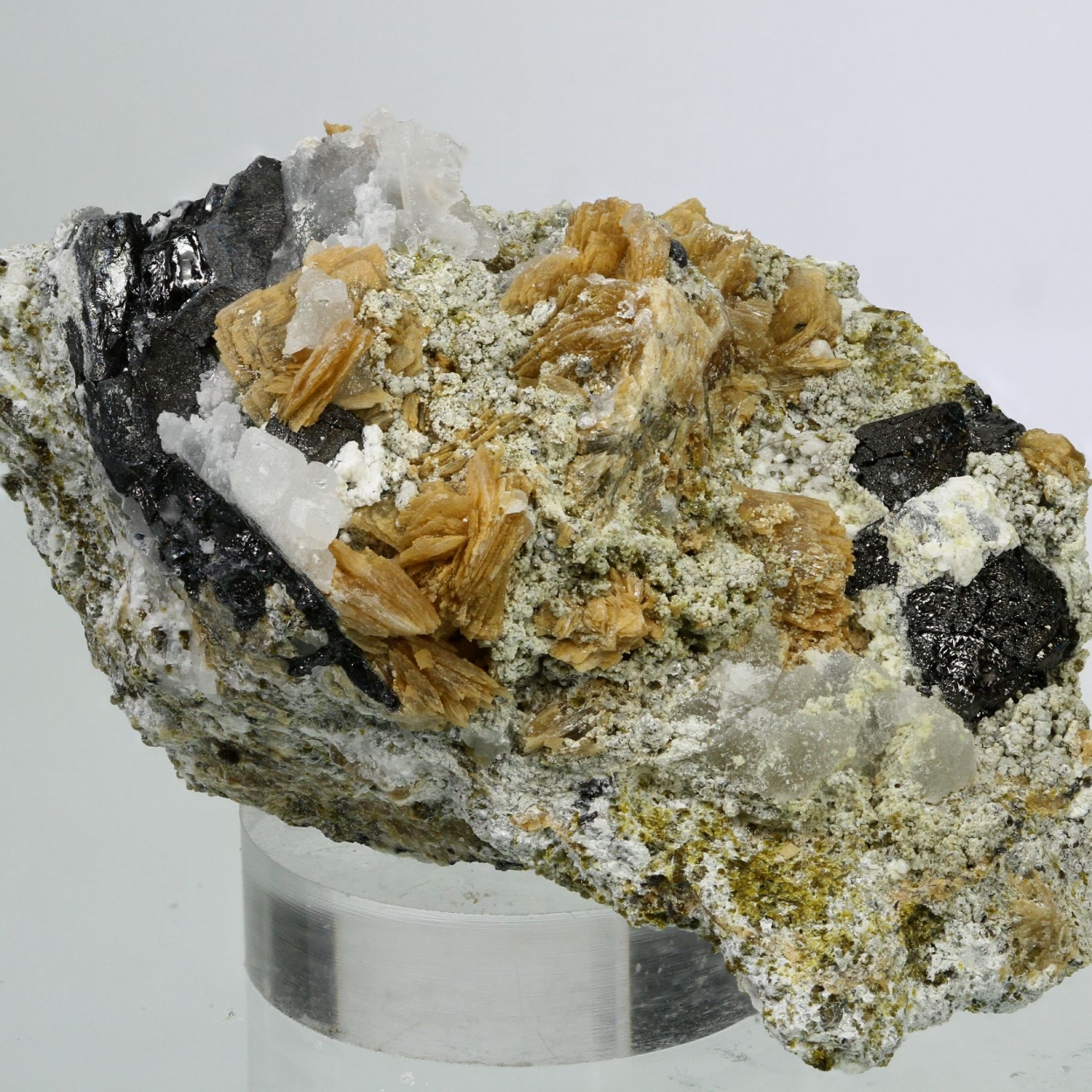 Cahnite Roweite Magnetite & Andradite