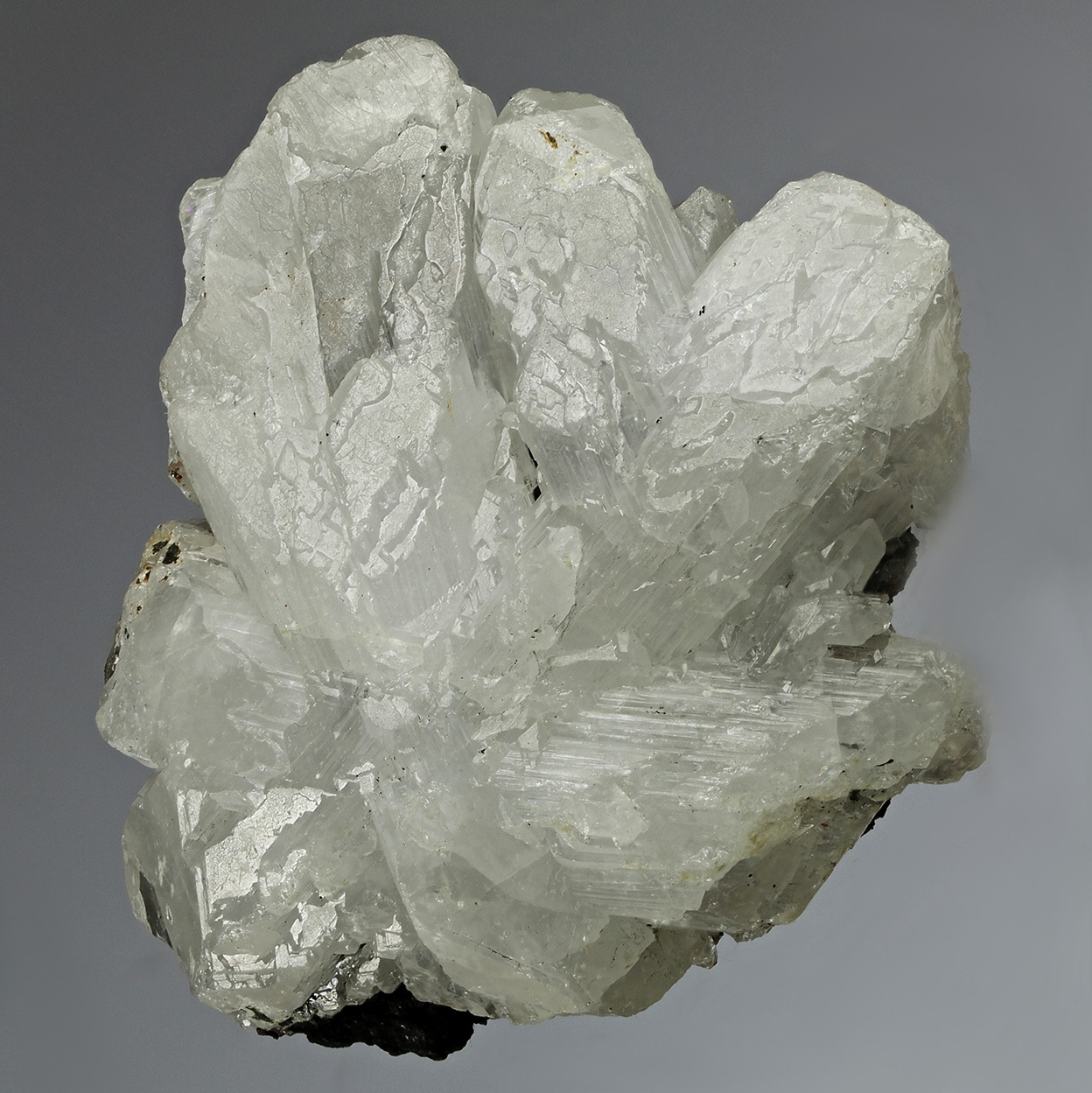 Cerussite