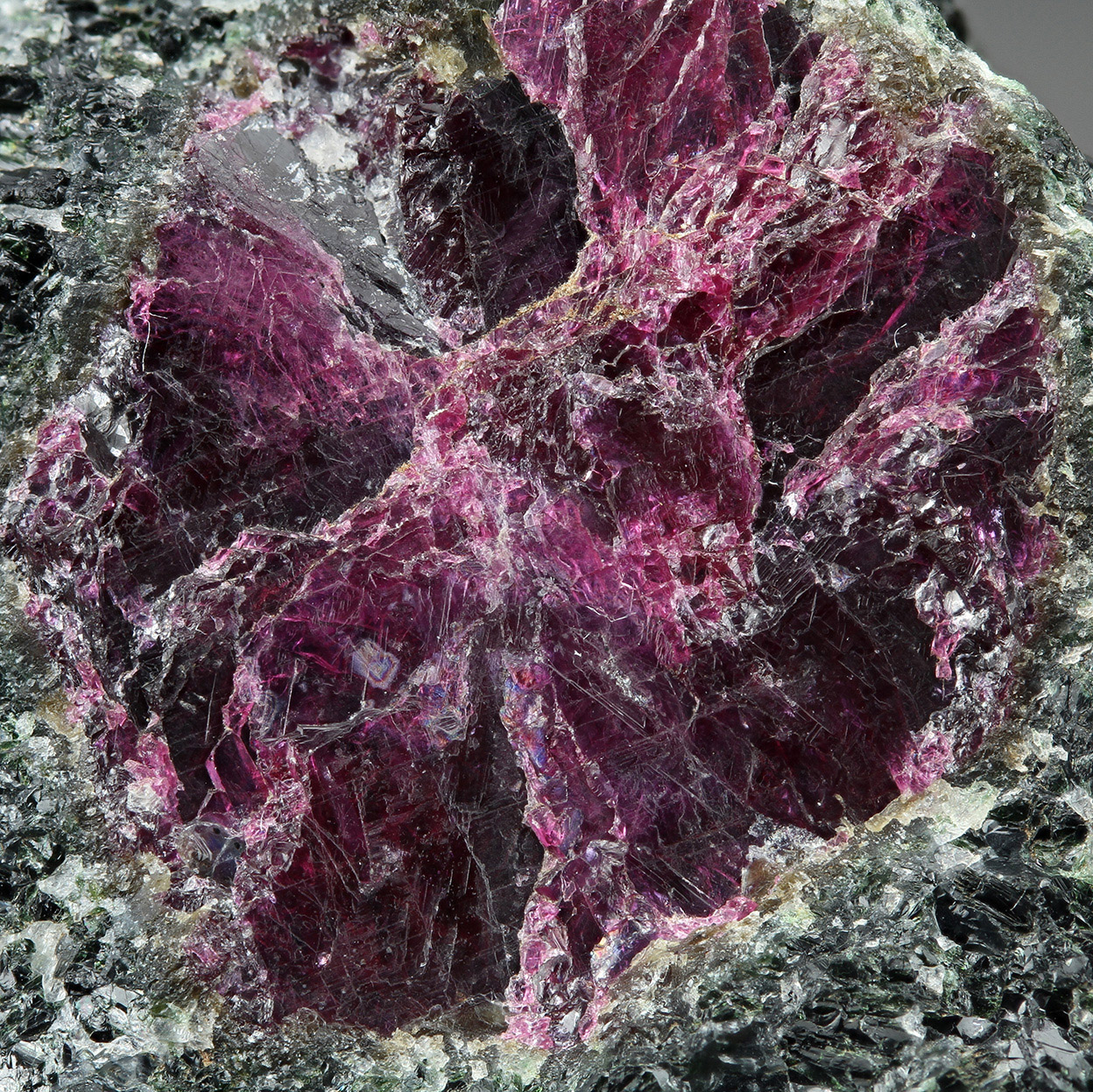 Ruby Pargasite & Zoisite