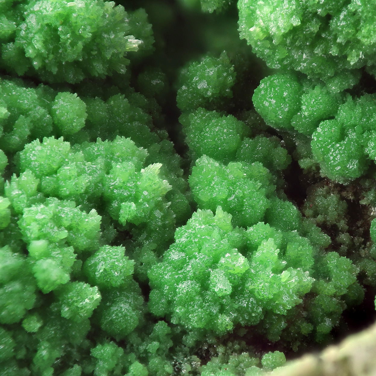 Pyromorphite