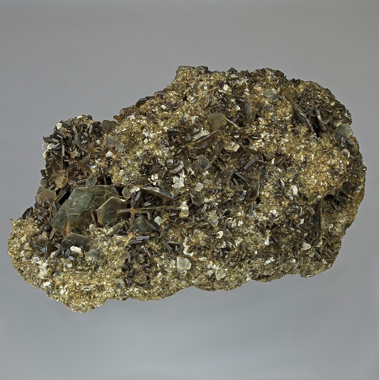 Biotite