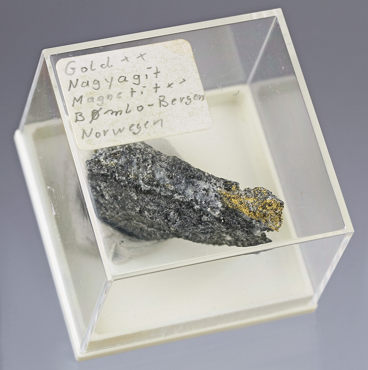 Gold Nagyágite & Magnetite