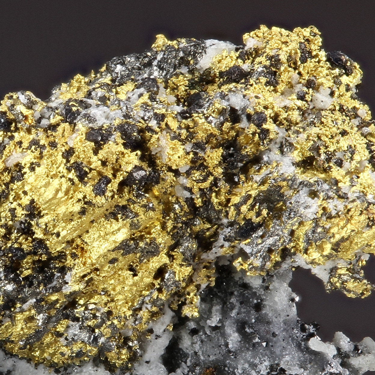 Gold Nagyágite & Magnetite