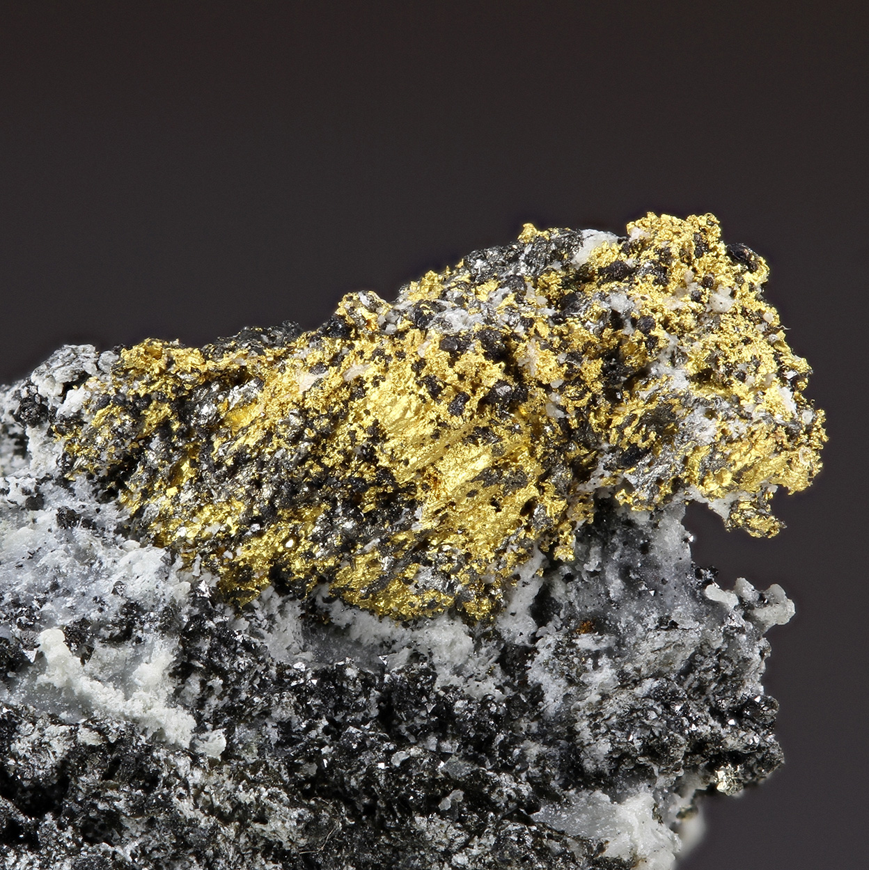 Gold Nagyágite & Magnetite