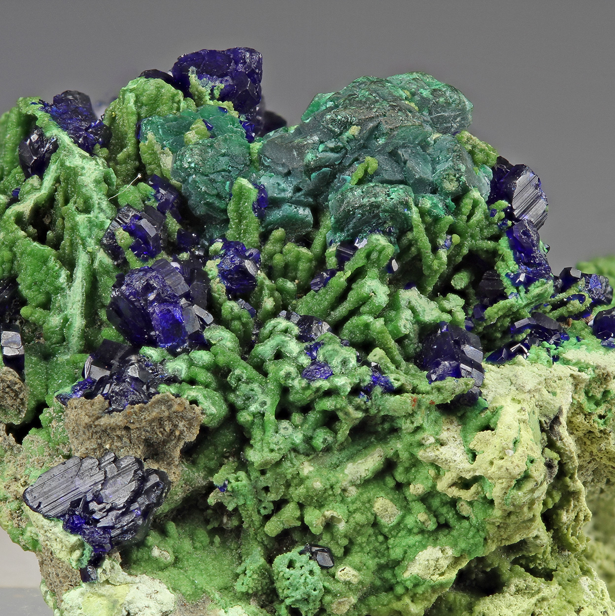 Azurite Malachite & Bayldonite