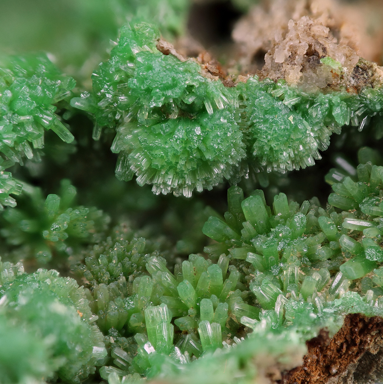 Pyromorphite