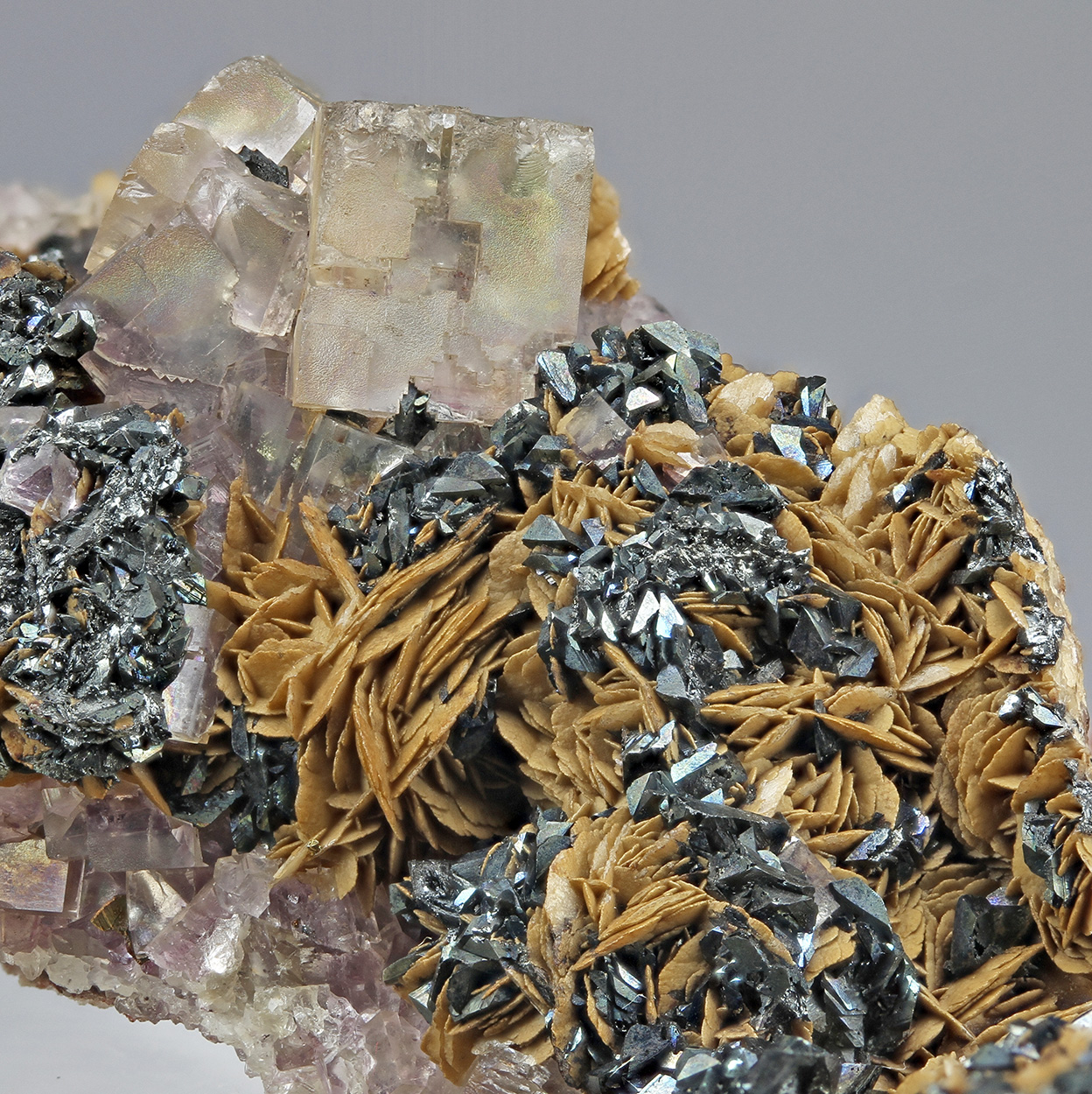 Chalcocite Fluorite & Siderite