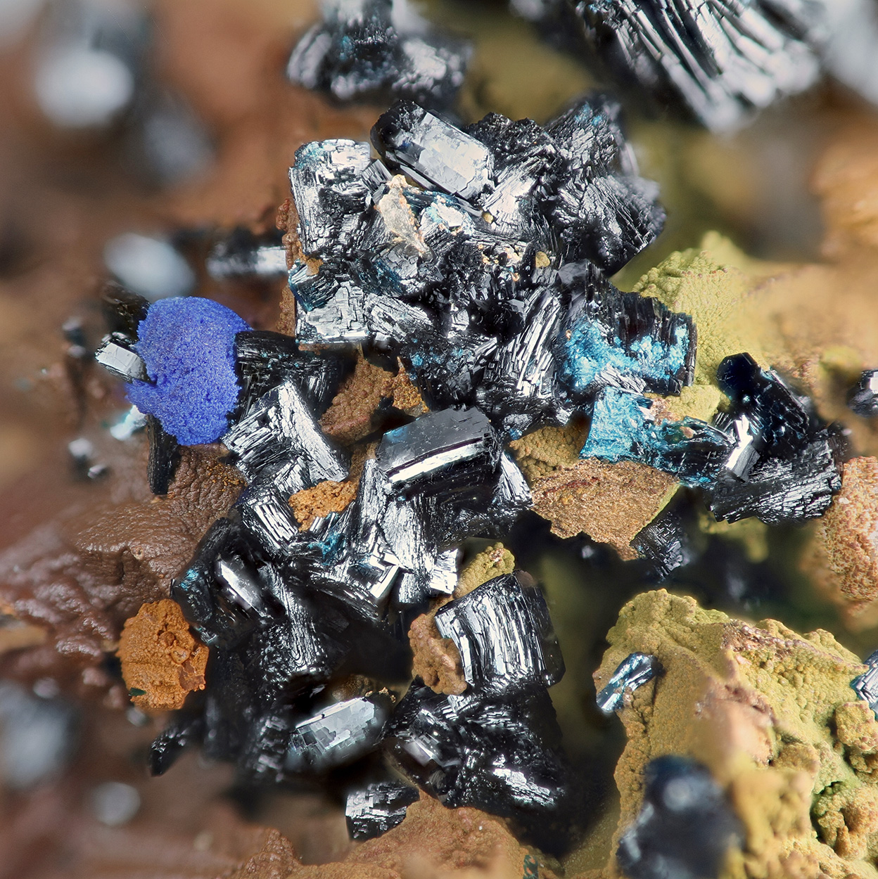 Clinoclase & Azurite