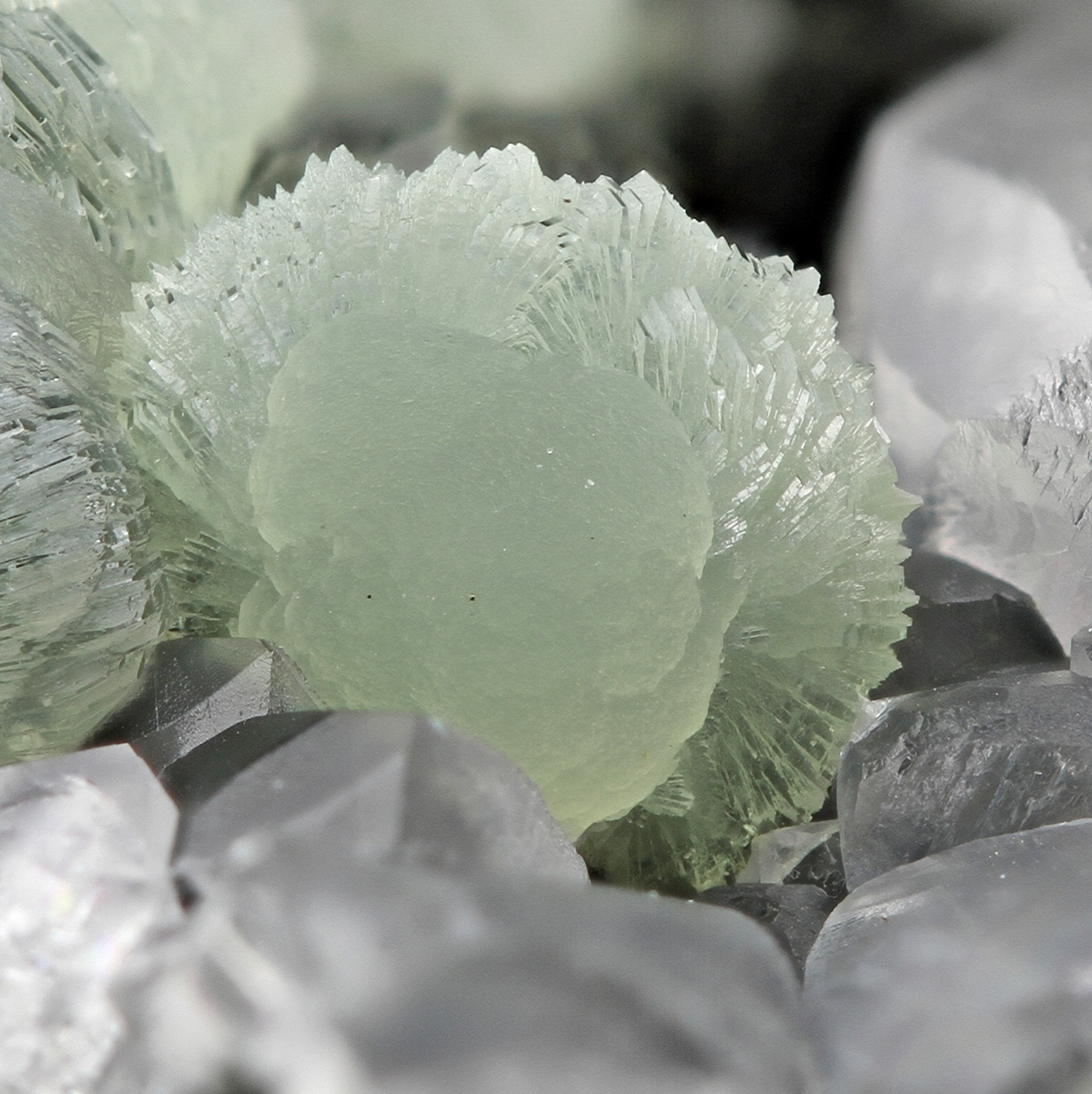 Prehnite Calcite & Pumpellyite