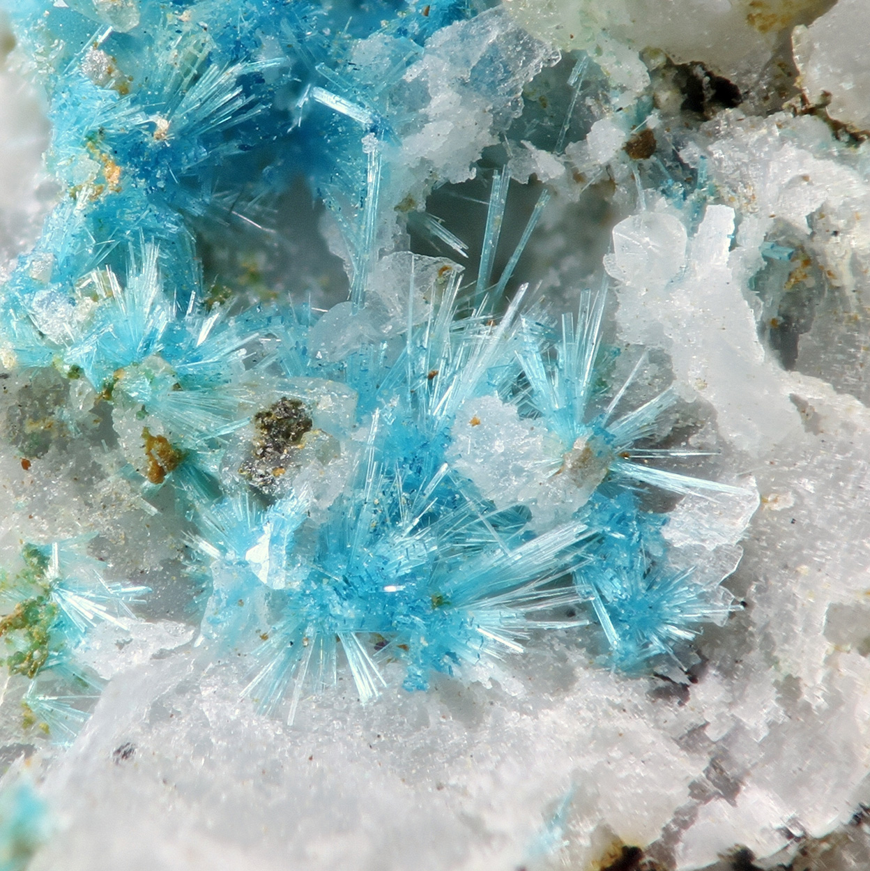 Serpierite Linarite & Pyromorphite