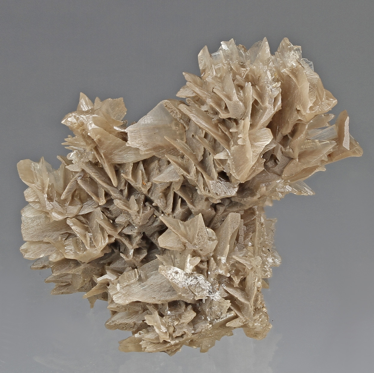 Cerussite