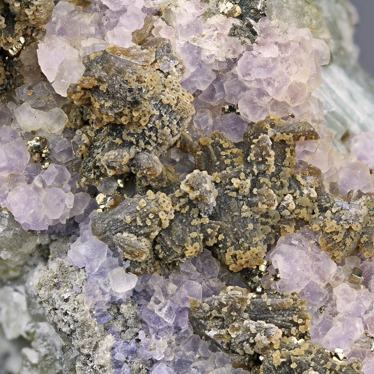 Fluorapatite Fluorite & Siderite