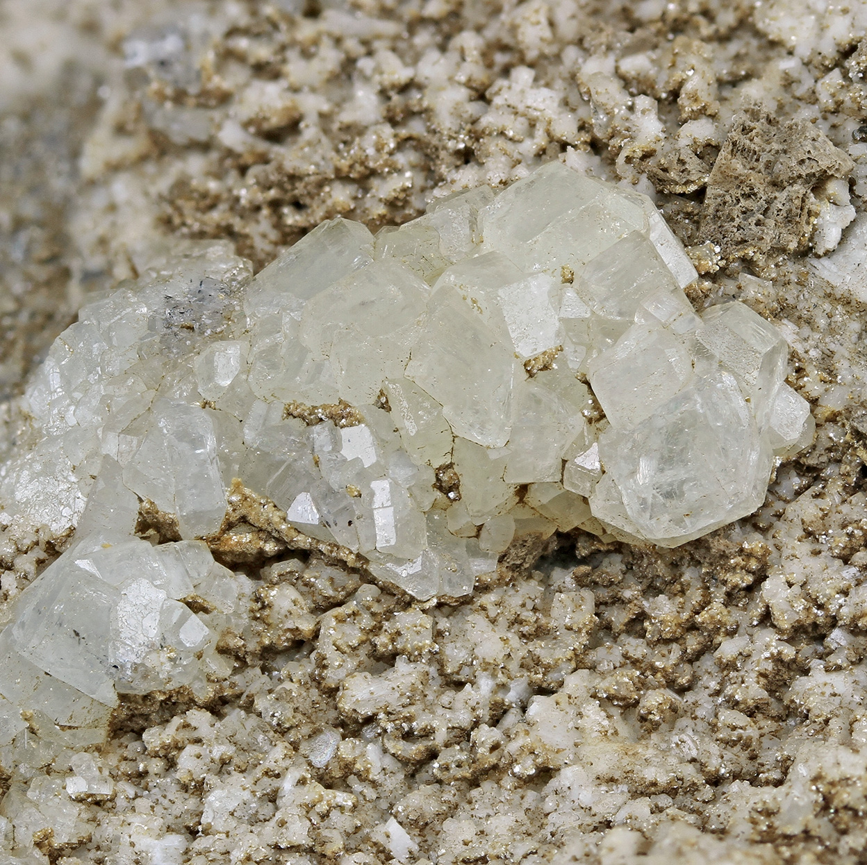 Fluorapatite