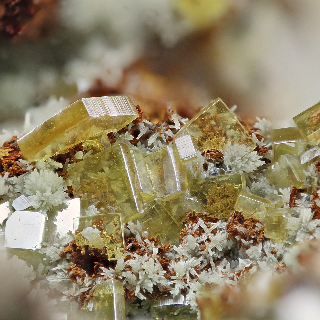 Wulfenite & Mimetite