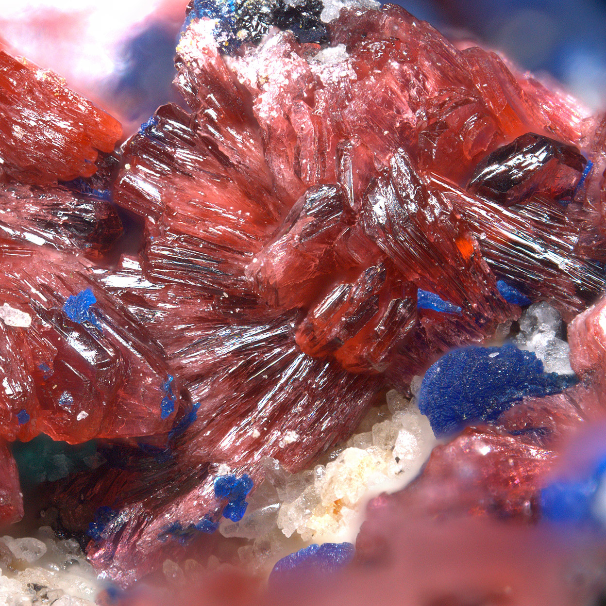 Erythrite Tangdanite & Azurite